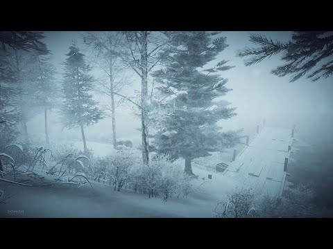 Intense Winter Storm at the Lake┇Howling Wind &amp; Blowing Snow ┇Sounds for Sleep, Study &amp; Relaxation