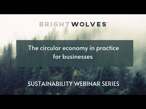 The circular economy in practice for businesses