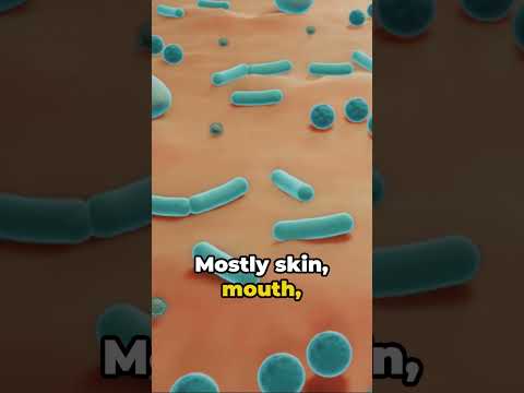 Your Phone: A Bacterial Universe